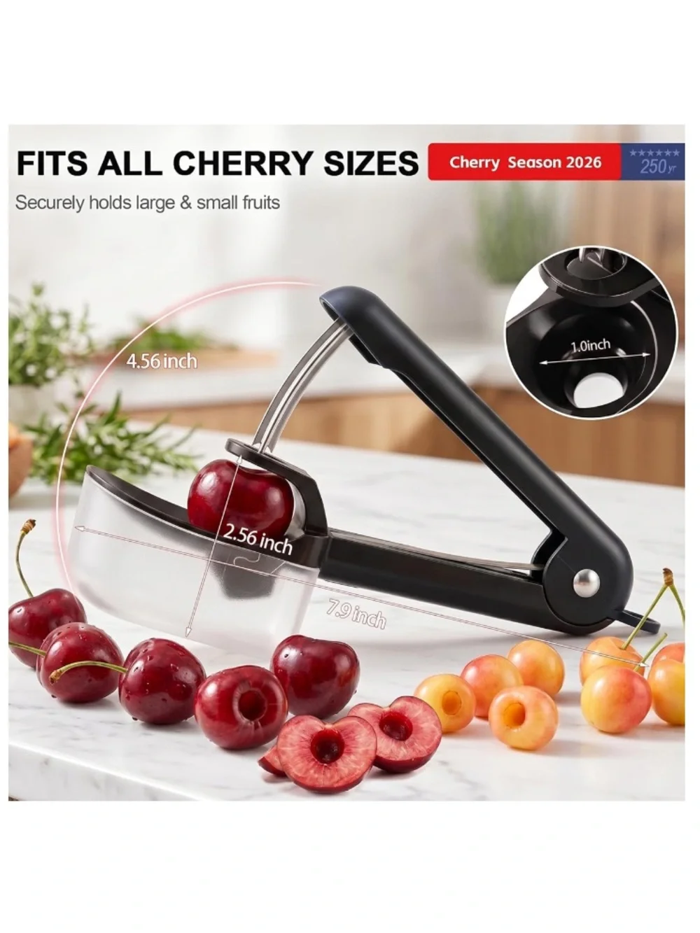 Black Cherry Pitter - Portable Kitchen Tool